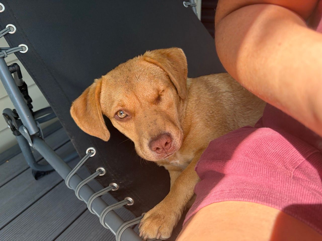 Cara curled up on a lounger next to someone, looking up at the camera.